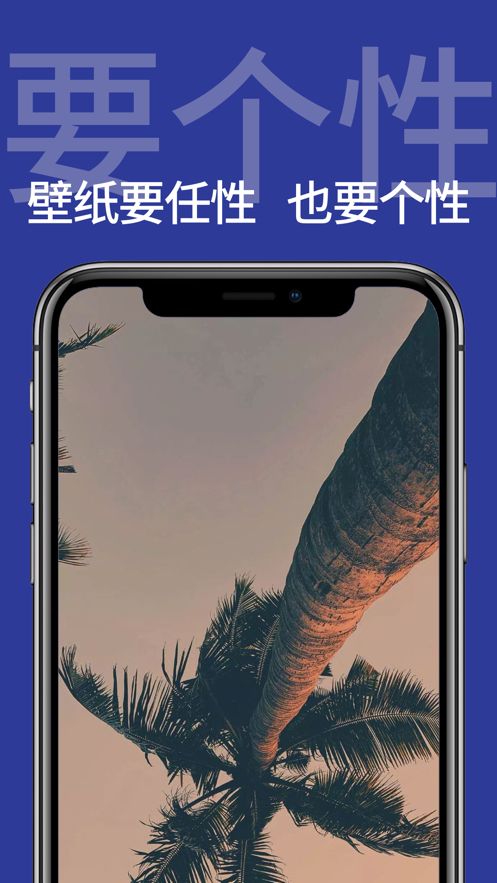 li big app