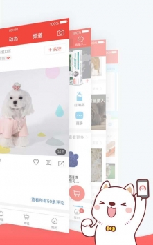 有宠