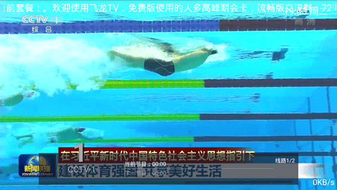 飞龙tv