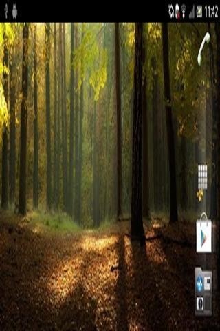 大森林动态壁纸app