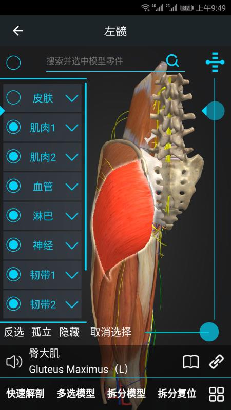 医维度