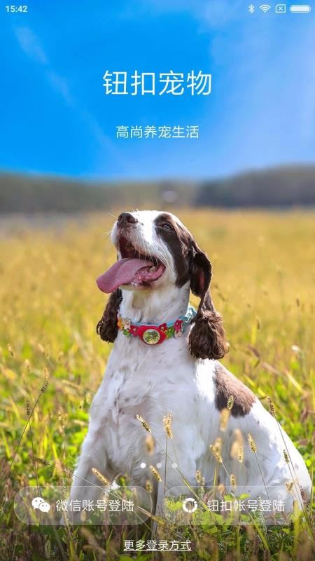钮扣宠物