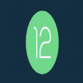 谷歌 android 12正式版