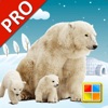 动物学习卡pro app