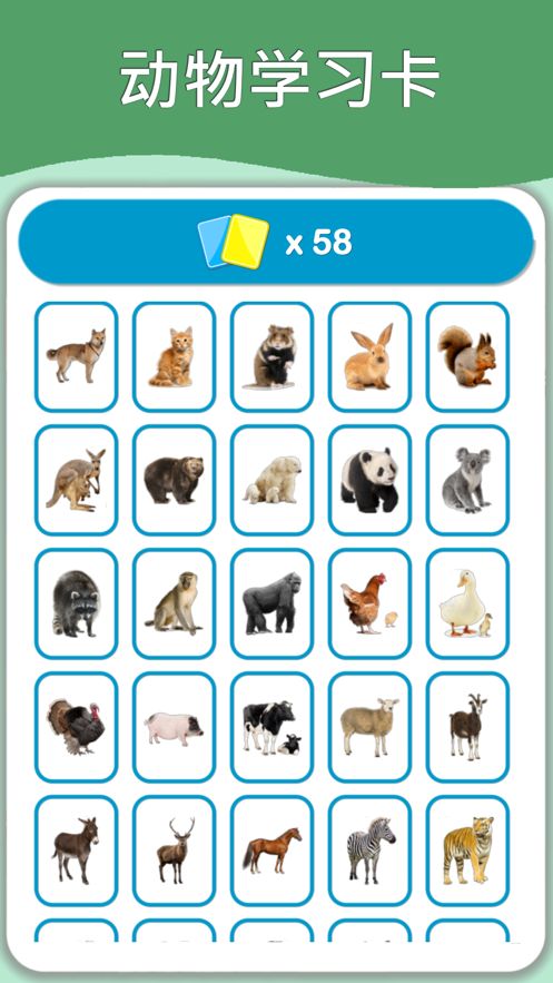 动物学习卡pro app