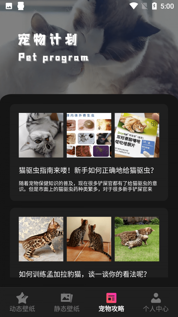 猫咪壁纸安卓版