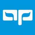 九野精选app