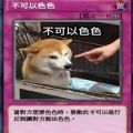 不可以色柴犬表情包