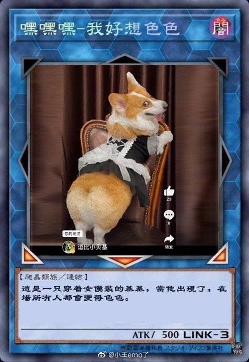 不可以色柴犬表情包