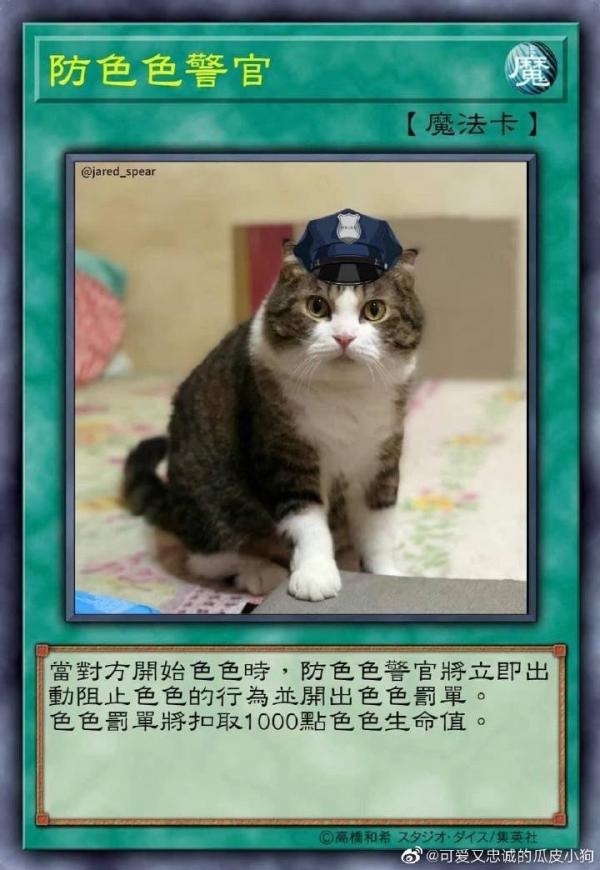 不可以色柴犬表情包