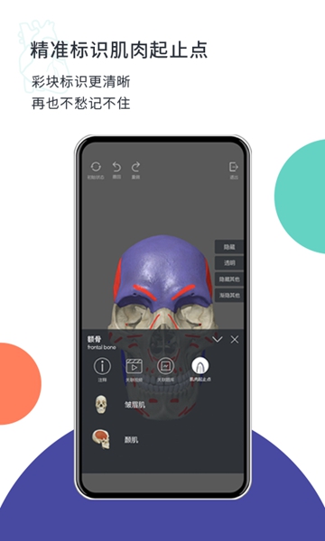 coolmed 最新版