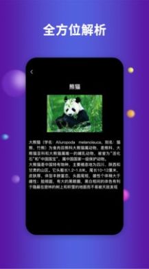 earth地球最新版2021