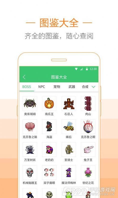 泰拉瑞亚助手