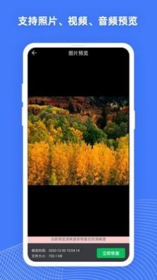 手机照片恢复大师pro app