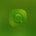绿叶精选壁纸app