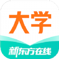 新东方大学考试app