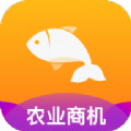 抓鱼体育app