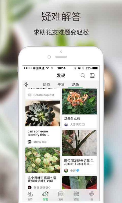 绿手指