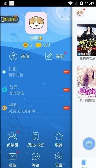 飞扬小说网