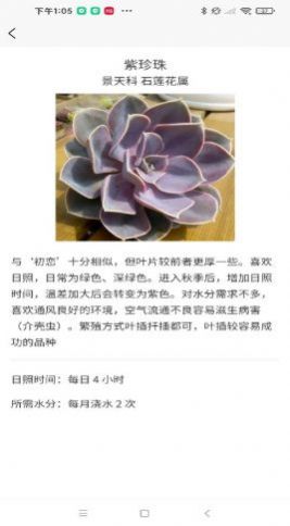 嘟嘟多肉植物鉴app