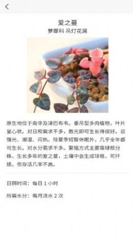 嘟嘟多肉植物鉴app