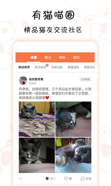 领喵app