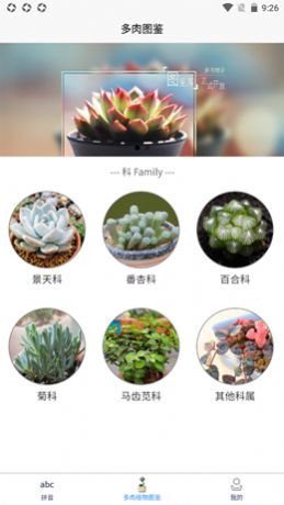 肉叶汉字拼音app