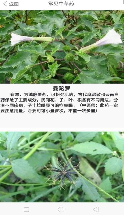 中药养生记app