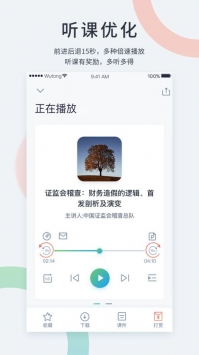 梧桐live