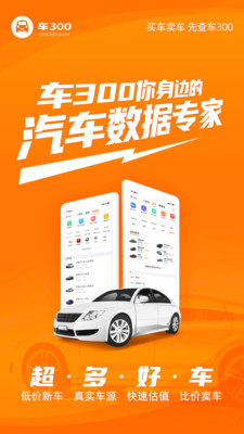 车300二手车评估官方