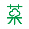 菜如意最新版
