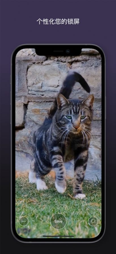 猫动态壁纸app