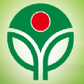 春苗网答案