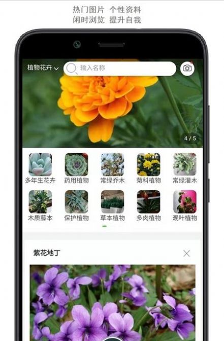 行色识花