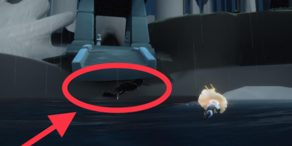 光遇11.10每日任务怎么做 光遇11.10每日任务攻略