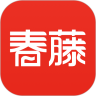 春藤家长最新版