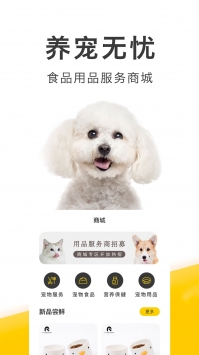 买只宠物