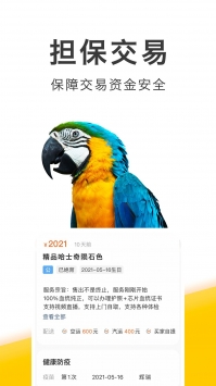 买只宠物