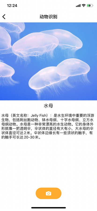 识别animals
