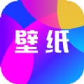 禾琴壁纸app官方版 