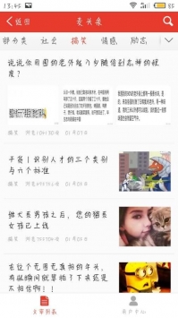 麦头条