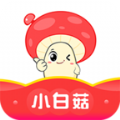 小白菇官方app下载安装 v3.3.22