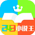 234小说王