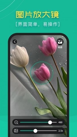 高清阅读放大镜app