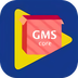 gms安装器app