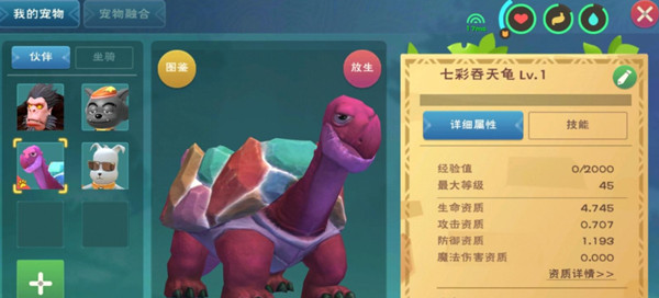 创造与魔法彩壳龟怎么获得 创造与魔法彩壳龟获得方法