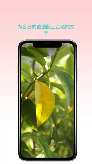 曲奇截屏app 最新版1.1
