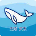 老年朋友相亲交友