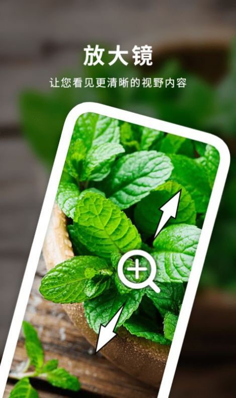 天天图文放大镜app