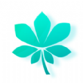 时代梧桐树平台购物app官方版 v1.0